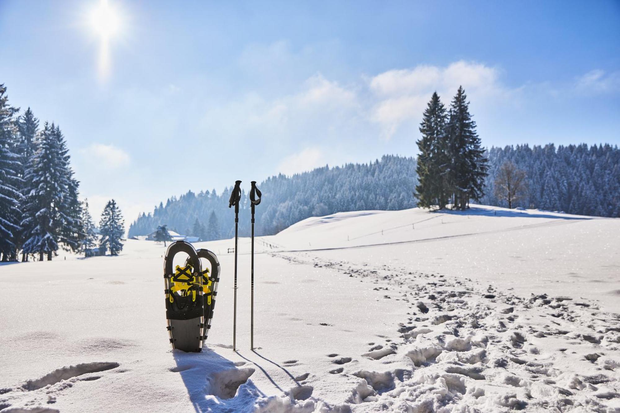 Hanusel Hof Wellness & Genuss In Panoramalage Hellengerst Buitenkant foto